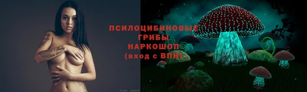 МДПВ Аркадак