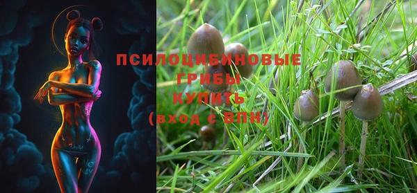 марки lsd Армянск