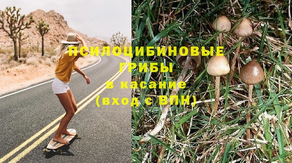 МДПВ Аркадак